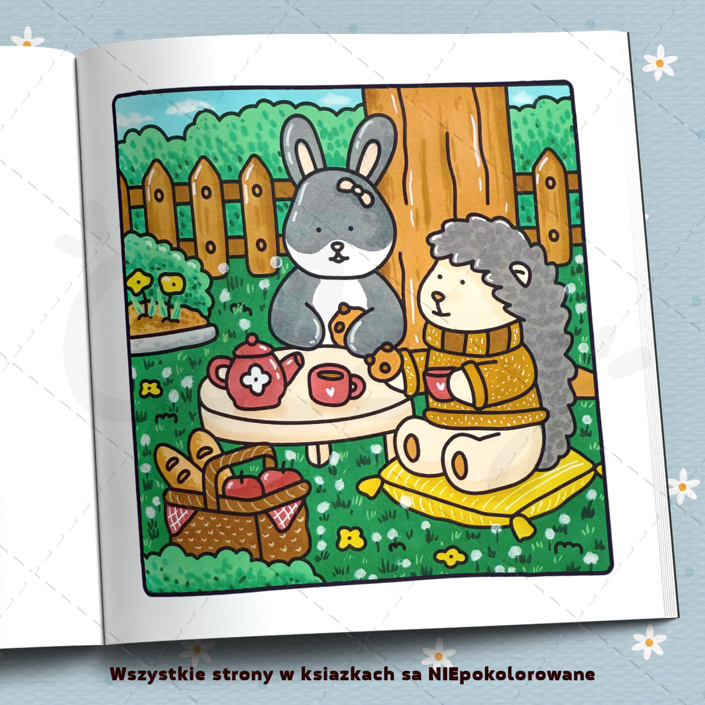 Zestaw Kompletny Colzzy - wszystko w jednym